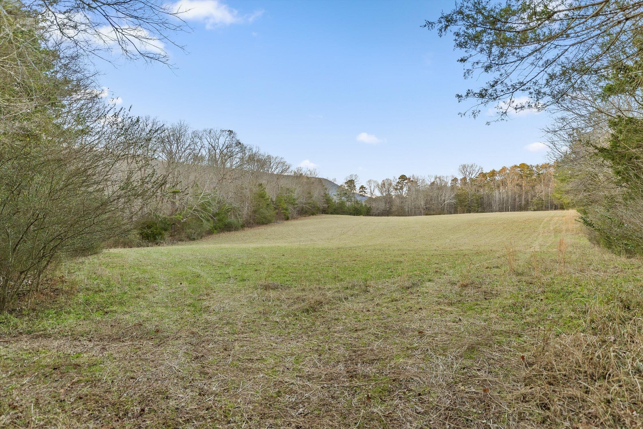 0 West Cove Road, Unit 59 5 AC Chickamauga, GA 30707 - Photo 9 of 105 007-W Cove - 60 Acres-6