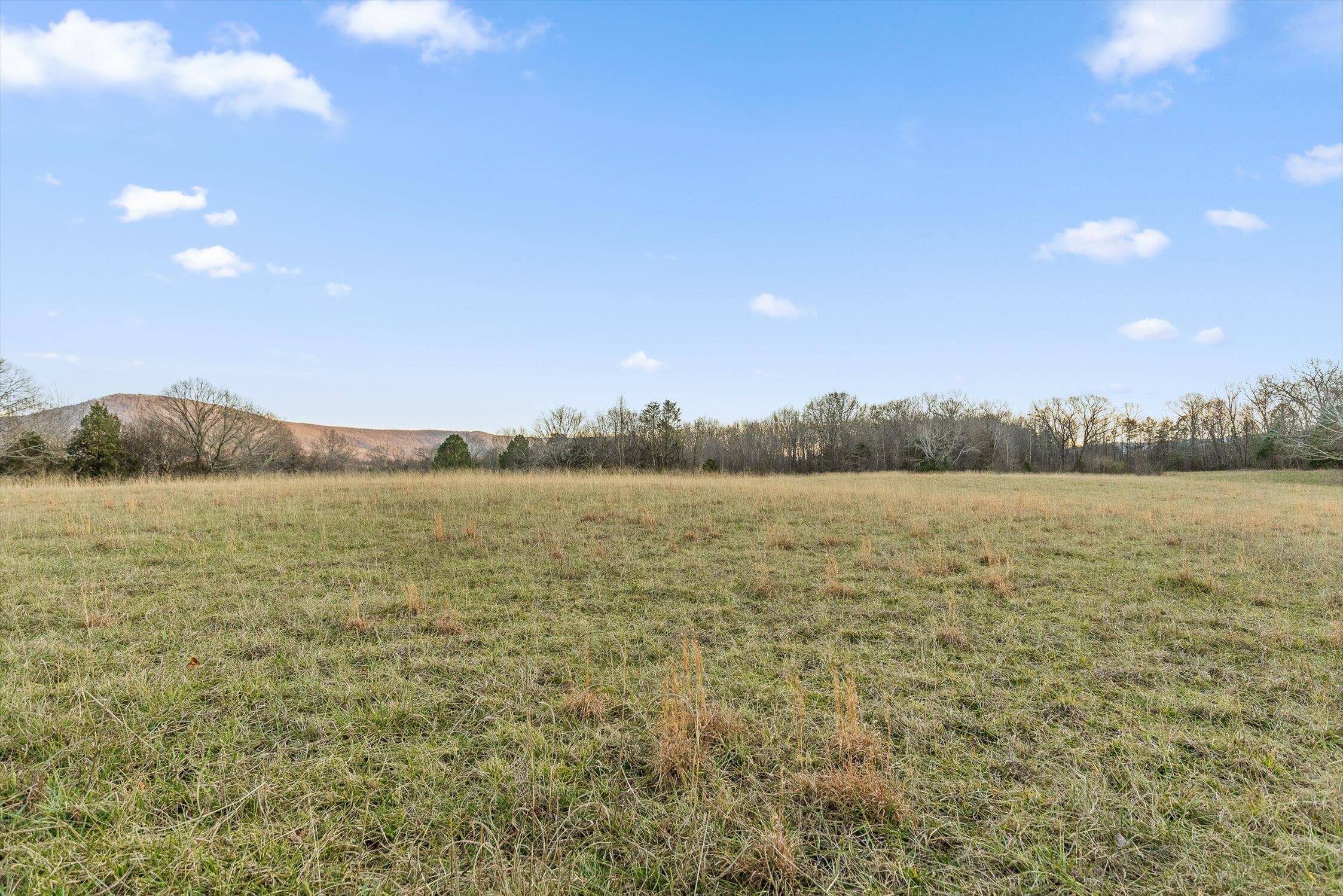 0 West Cove Road, Unit 59 5 AC Chickamauga, GA 30707 - Photo 10 of 105 008-W Cove - 60 Acres-7