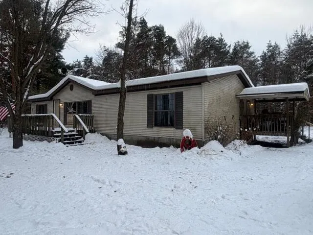 $155,000 | 5237 Chestnut Avenue, Newaygo, MI 49337
