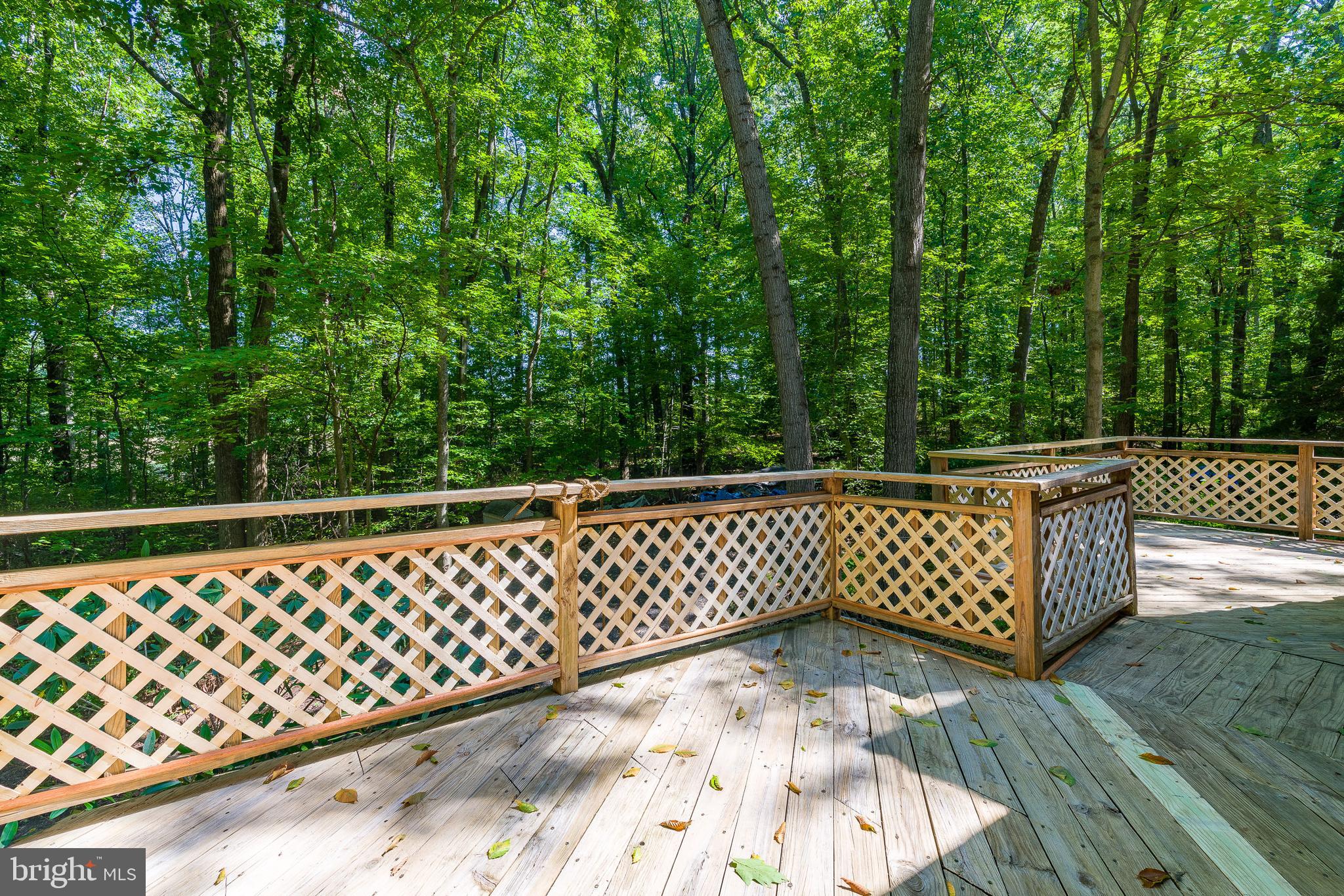 3021 Rocks Road Jarrettsville, MD 21084 - Photo 44 of 48 Master Bedroom Deck - View Nature each day!