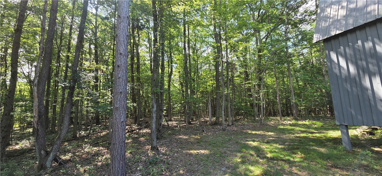 613 Randall Road Orange, NY 14815 - Photo 4 of 49 Gallery Image 4