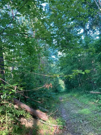 $110,000 | 0 Buck Run, Greenup, KY 41144