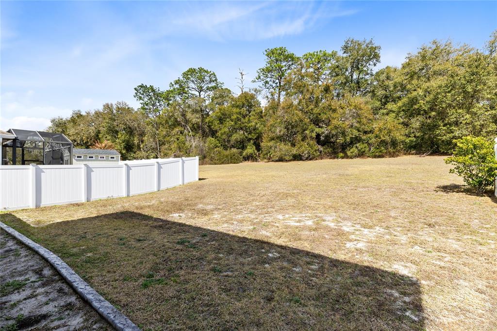 873 Haring Lane Mount Dora, FL 32757 - Photo 28 of 36