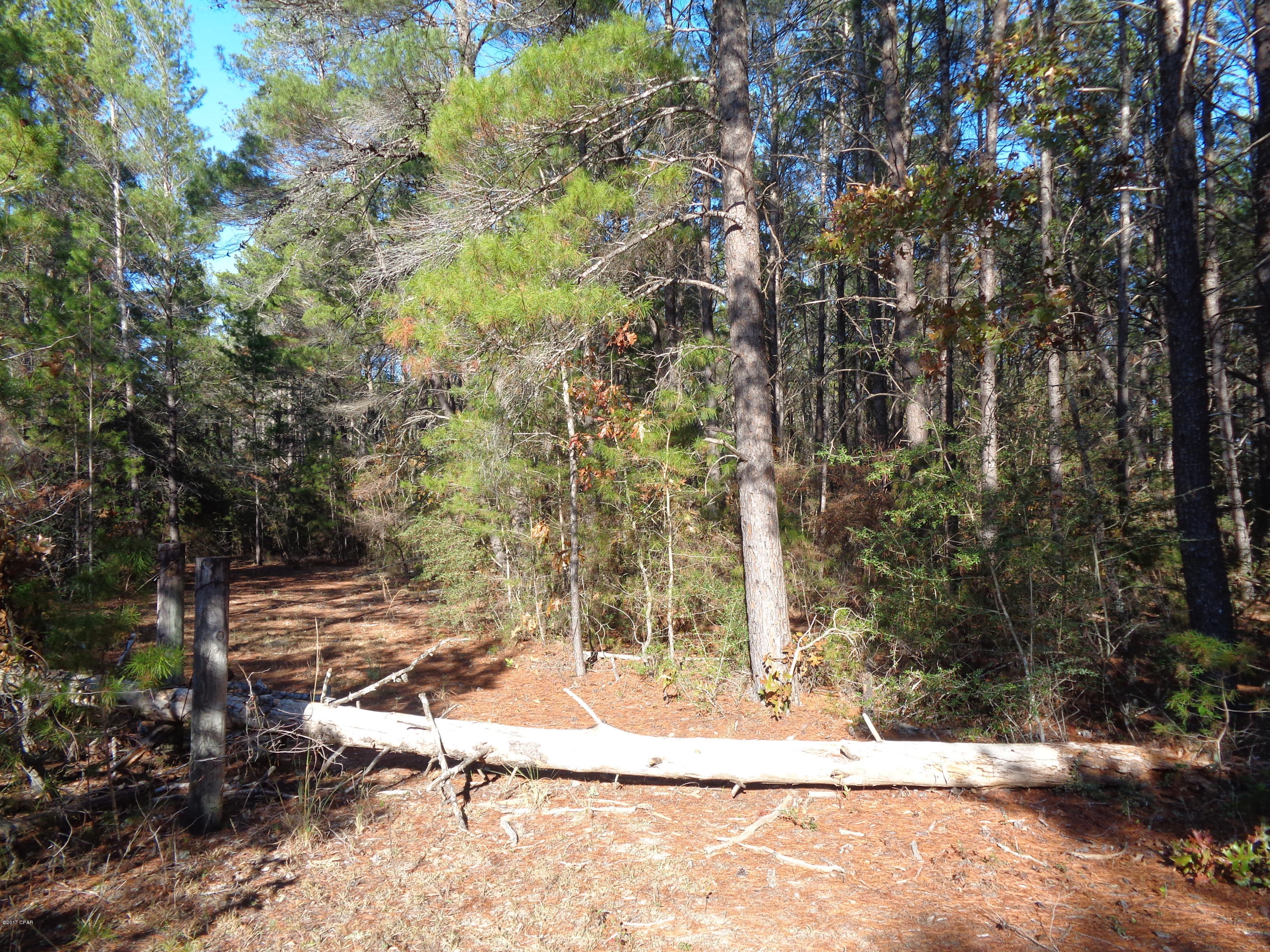 3109 Bonnett Pond Road Chipley, FL 32428 - Photo 18 of 26