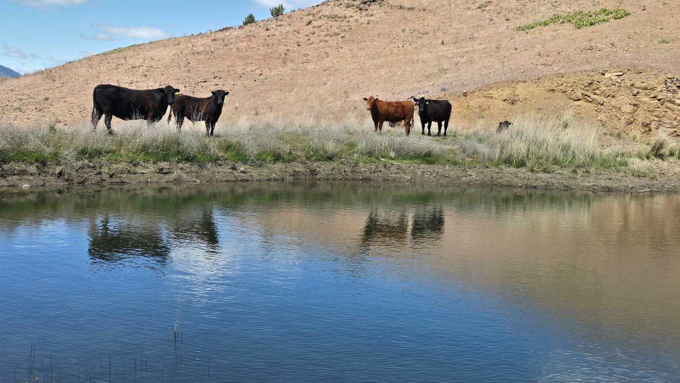 Xox Townsend Road Weed, CA 96034 - Photo 1 of 12 Gallery Image 1