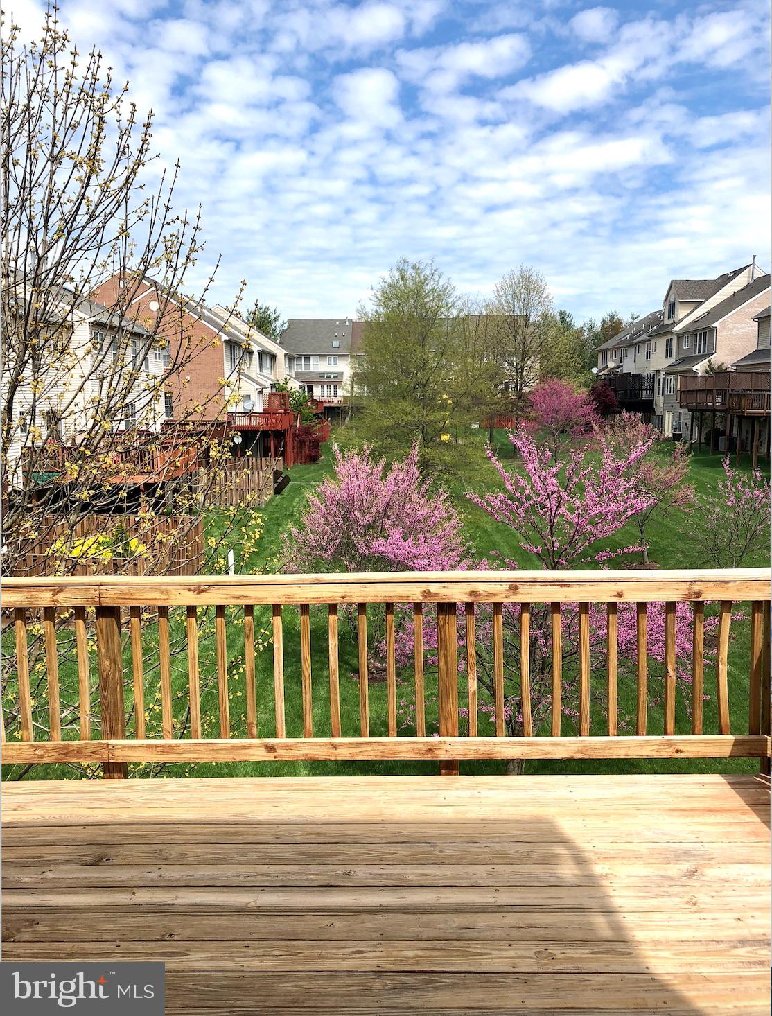 14211 Plum Run Way Silver Spring, MD 20906 - Photo 15 of 33 Deck view