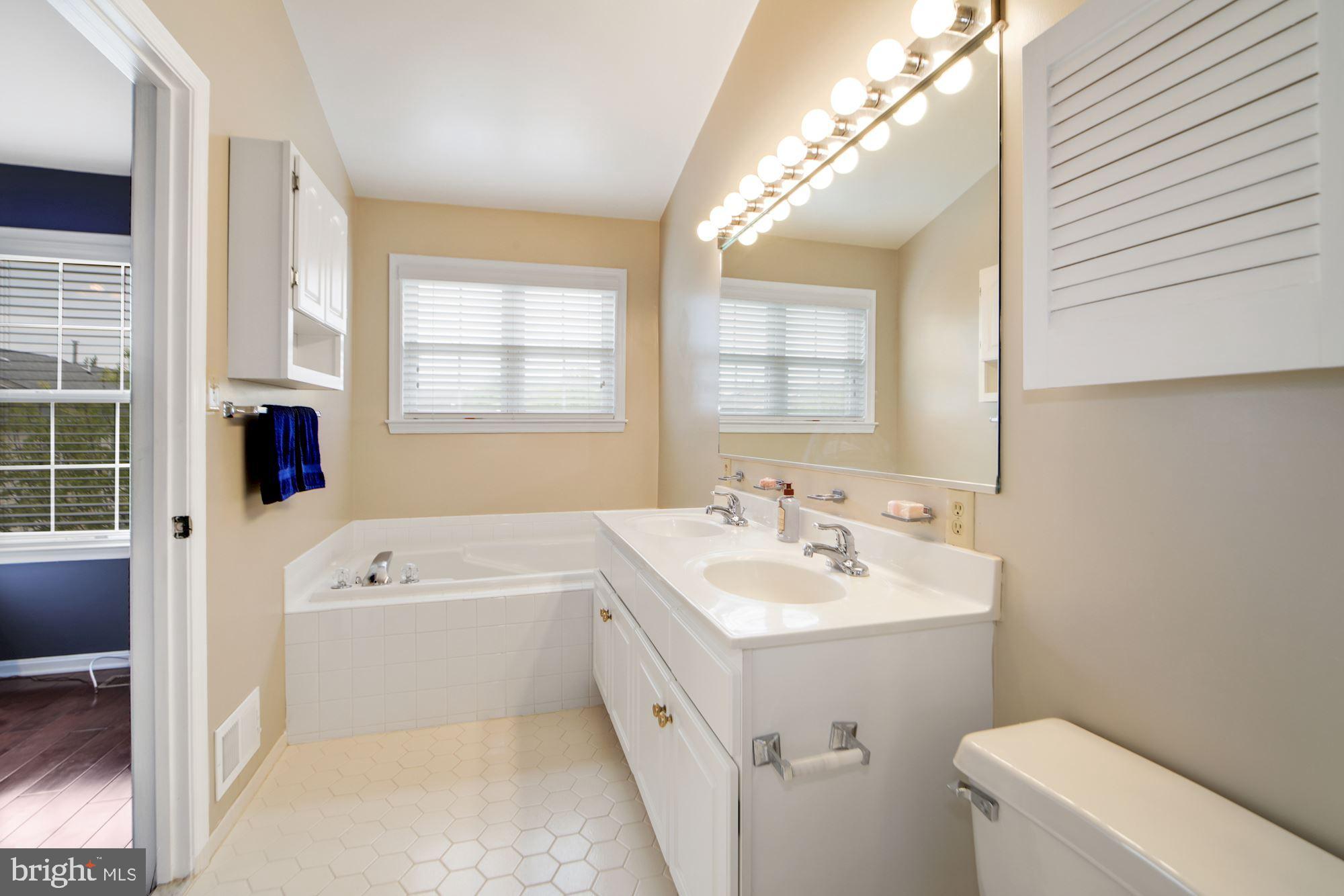 14211 Plum Run Way Silver Spring, MD 20906 - Photo 19 of 33 Master Bath w/tub