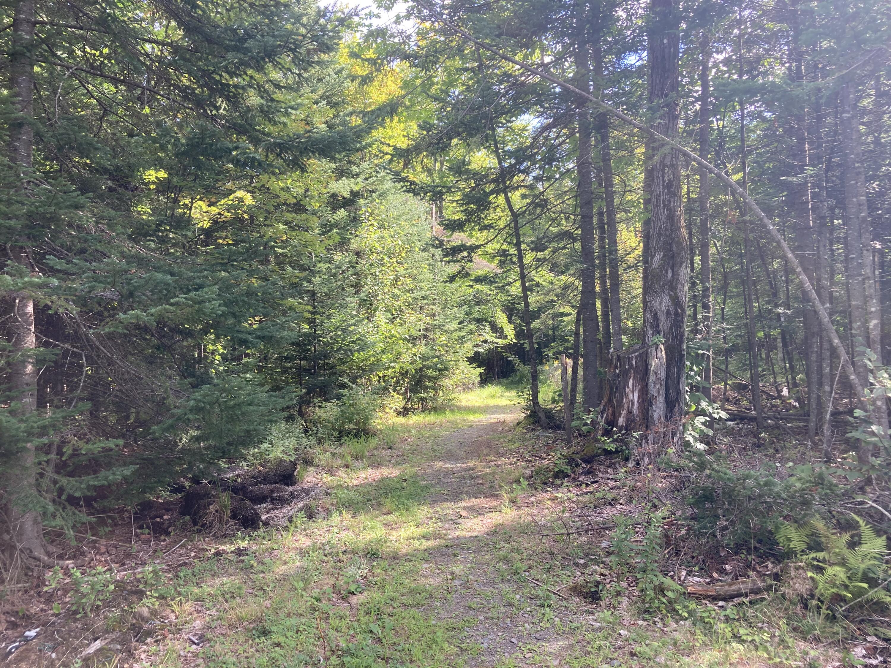 45 Benoak Road Wilton, ME 04294 - Photo 17 of 25 A2F9D6E9-D6B6-4860-A4CB-BE71D3010B33
