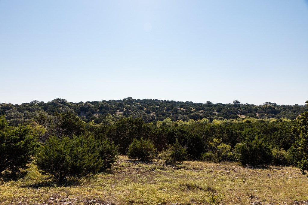 Lot 6 Sd 16010, Unit 6 Rocksprings, TX 78880 - Photo 3 of 7 Gallery Image 3