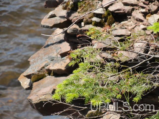 Tbd Puuri Road Baraga, MI 49908 - Photo 3 of 20