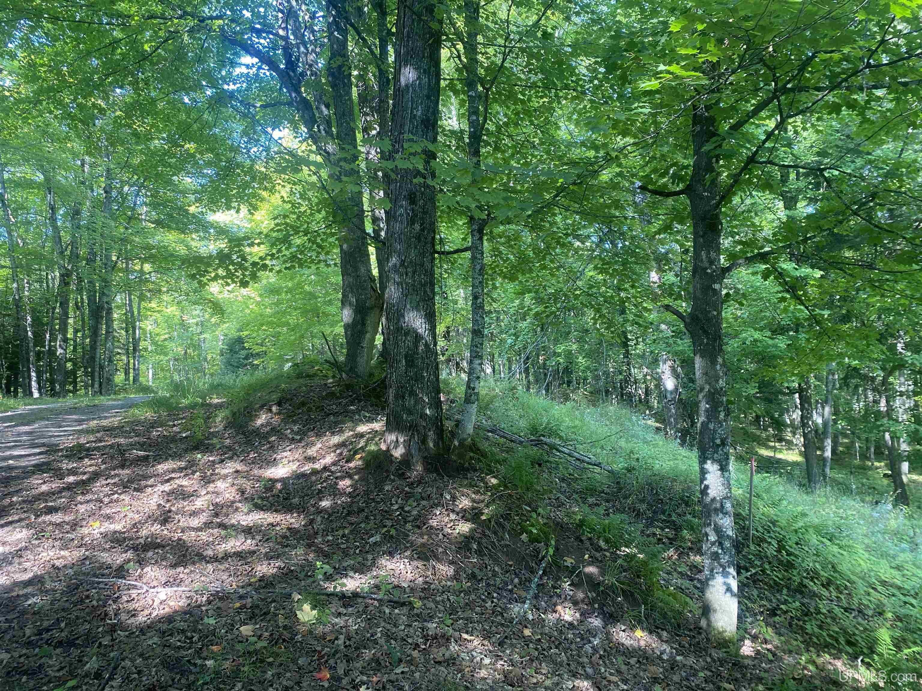 13-14 Grace Lake Road Watersmeet, MI 49969 - Photo 23 of 23