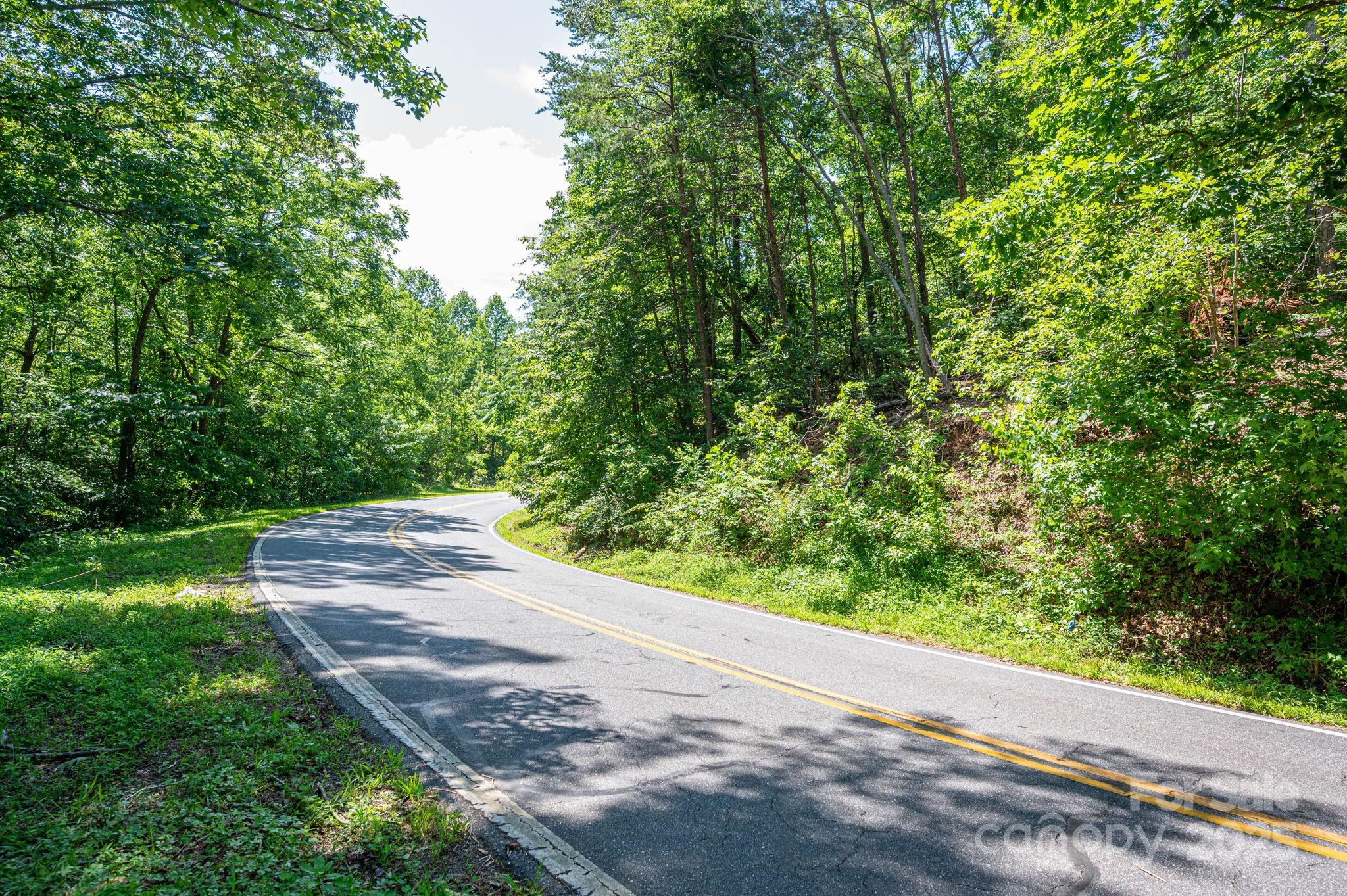 Lot #69 Cleghorn Mill Road Rutherfordton, NC 28139 - Photo 4 of 26