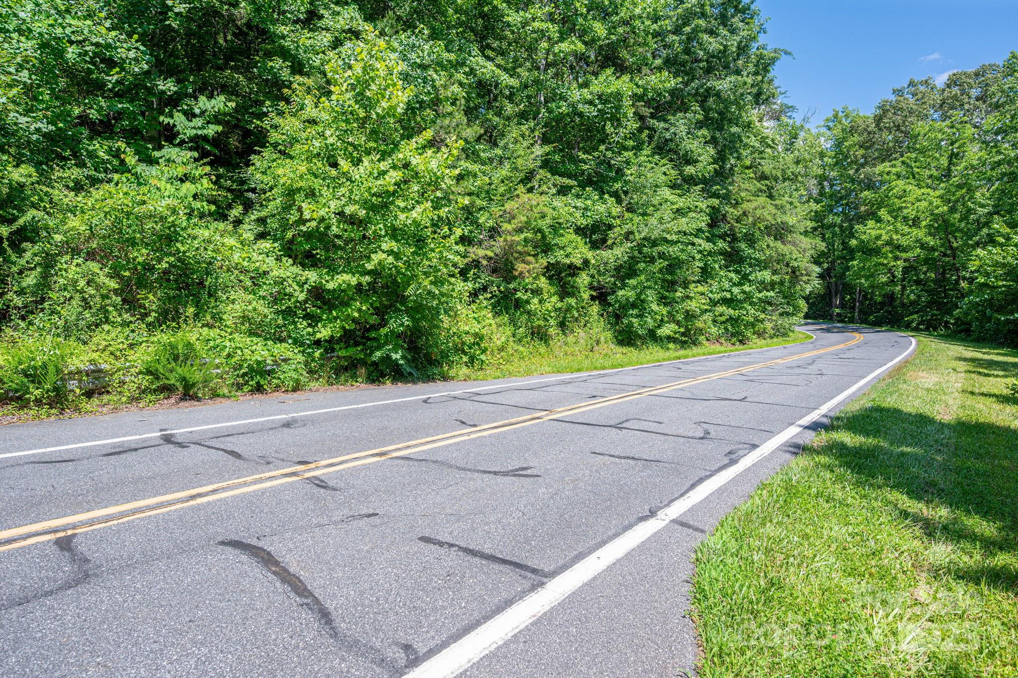 Lot #69 Cleghorn Mill Road Rutherfordton, NC 28139 - Photo 5 of 26