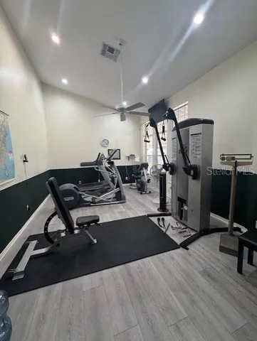 a view of a park with large trees