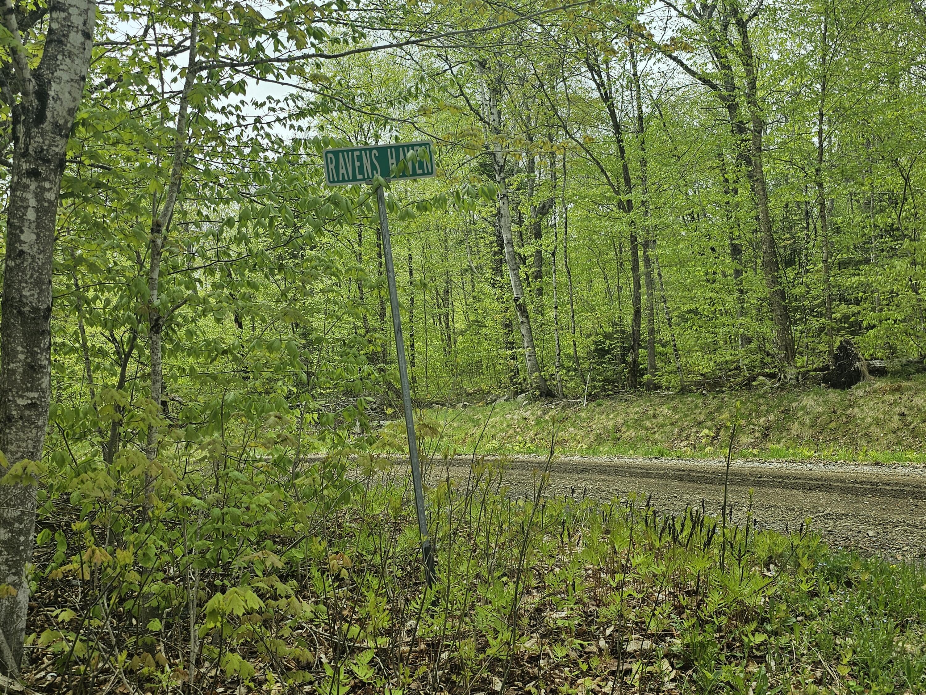 16 Ravens Haven Shore Road Patten, ME 04765 - Photo 2 of 51 20250522_110920