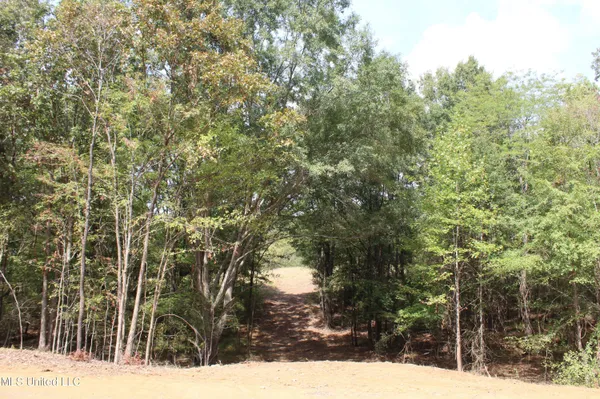 $115,000 | 19 Hickory Hollow Road, Coldwater, MS 38618