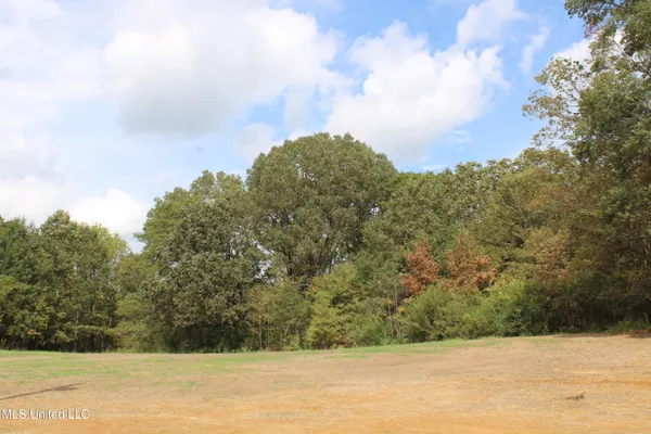 $115,000 | 19 Hickory Hollow Road, Coldwater, MS 38618