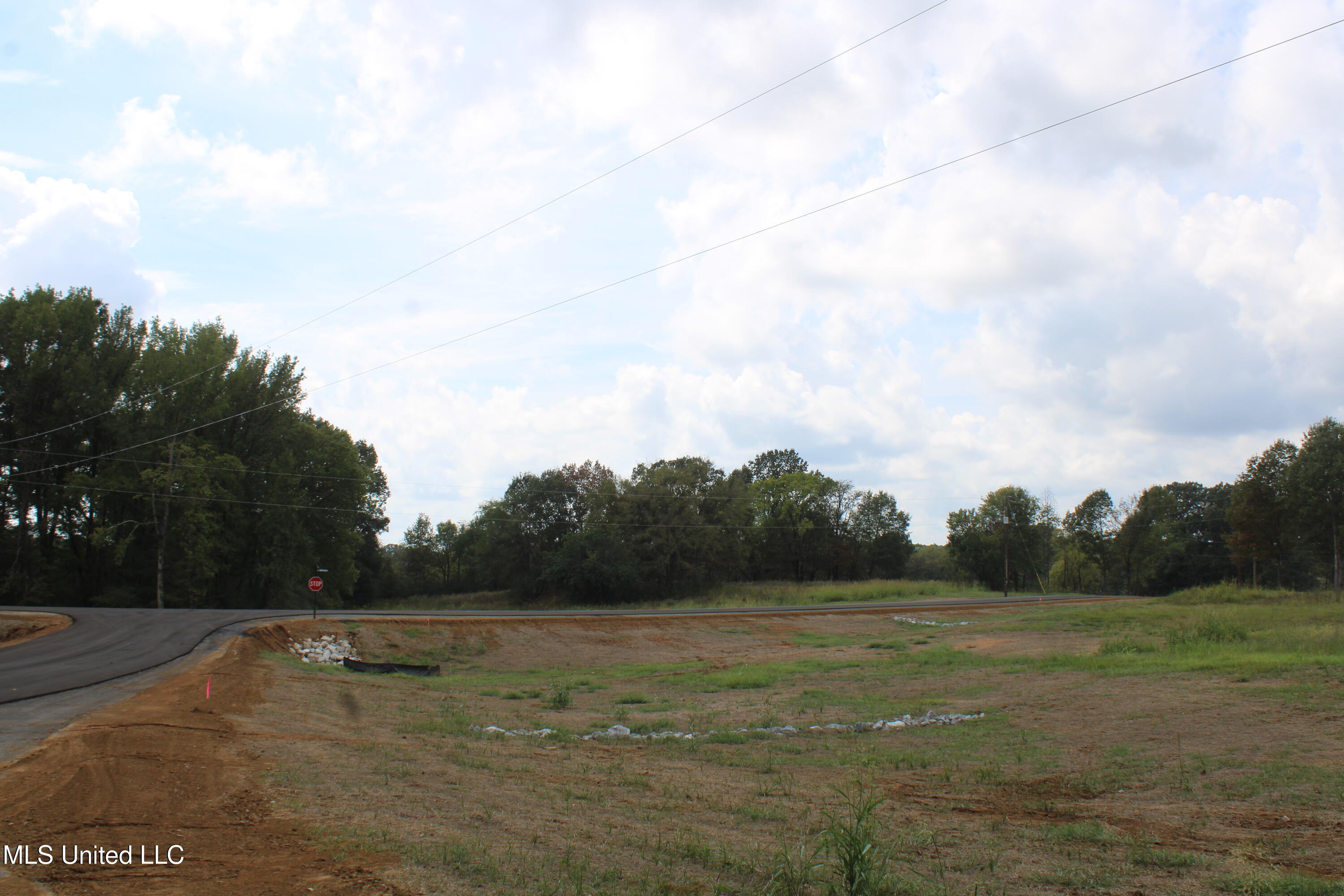 19 Hickory Hollow Road Coldwater, MS 38618 - Photo 56 of 70 IMG_6616