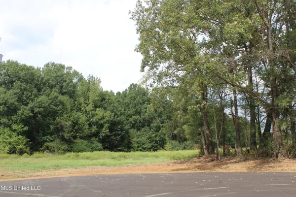 $115,000 | 19 Hickory Hollow Road, Coldwater, MS 38618