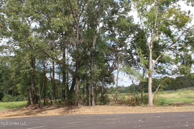 $115,000 | 19 Hickory Hollow Road, Coldwater, MS 38618