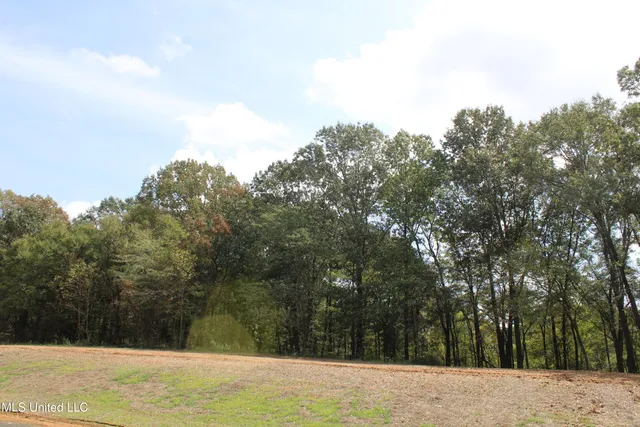 $115,000 | 19 Hickory Hollow Road, Coldwater, MS 38618
