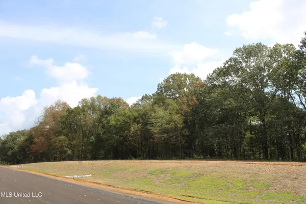 $115,000 | 19 Hickory Hollow Road, Coldwater, MS 38618