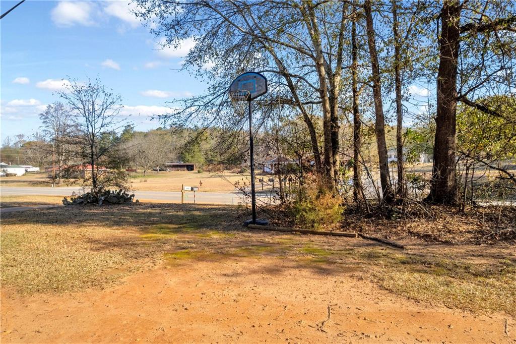 4106 Highway 29 Colbert, GA 30628 - Photo 41 of 82 a view of a yard with a tree