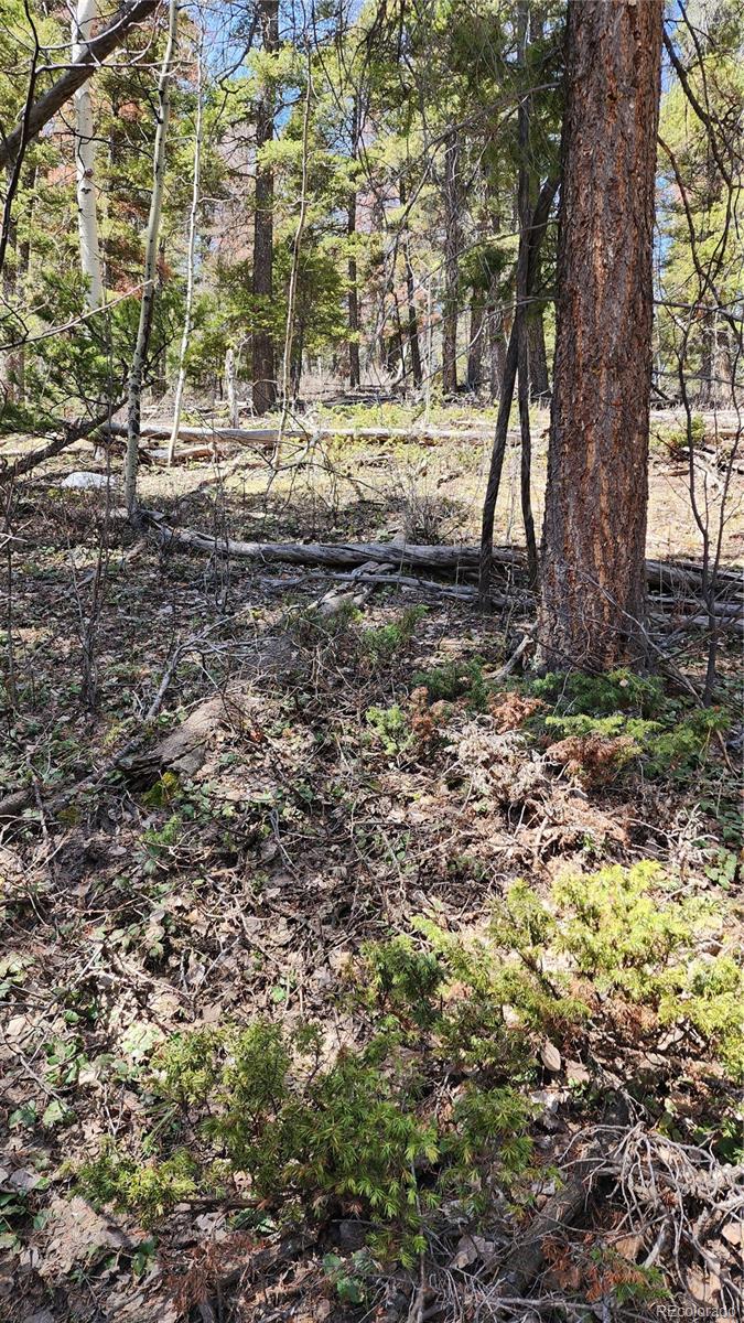 Lot 6318 Geofsmith Road San Luis, CO 81152 - Photo 13 of 22 Gallery Image 13