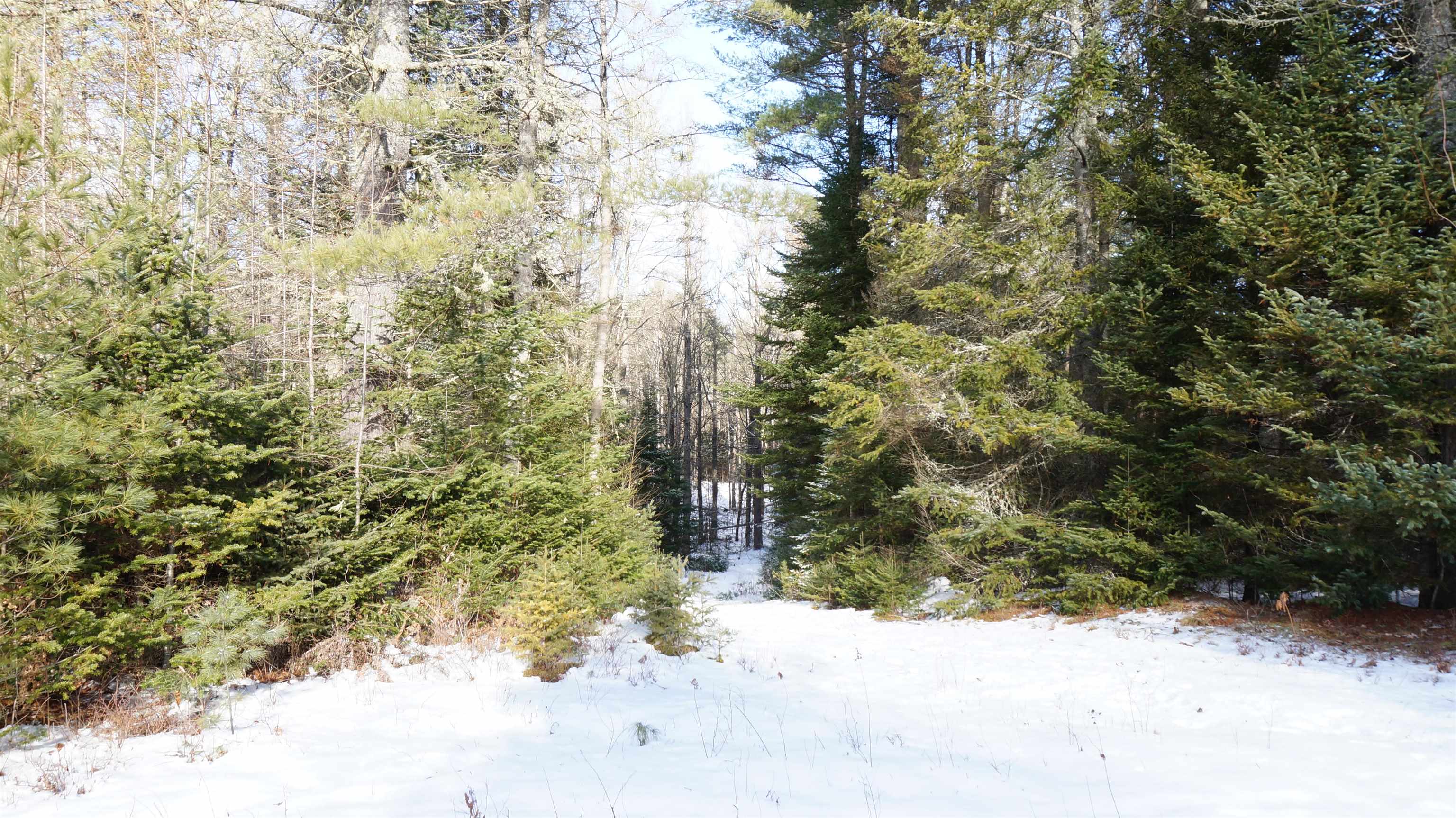 0 Nichols Road Dalton, NH 03598 - Photo 11 of 13