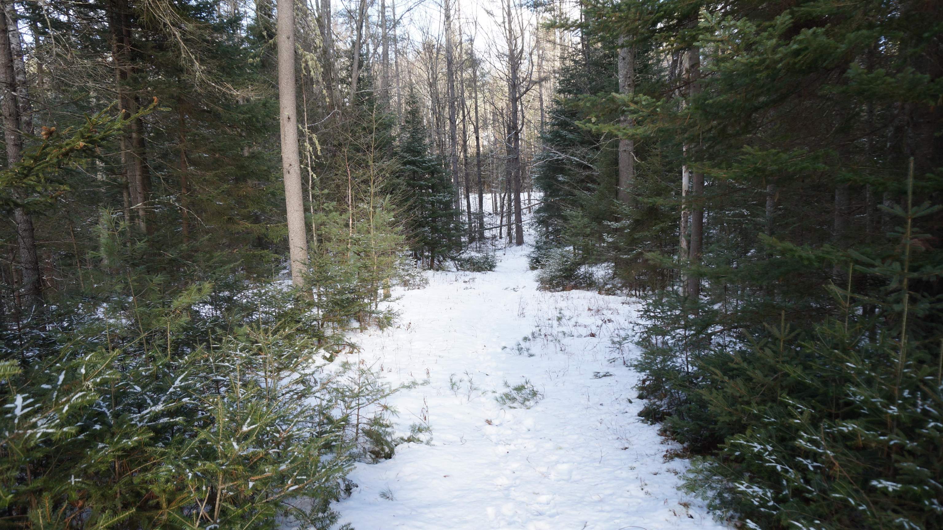0 Nichols Road Dalton, NH 03598 - Photo 12 of 13