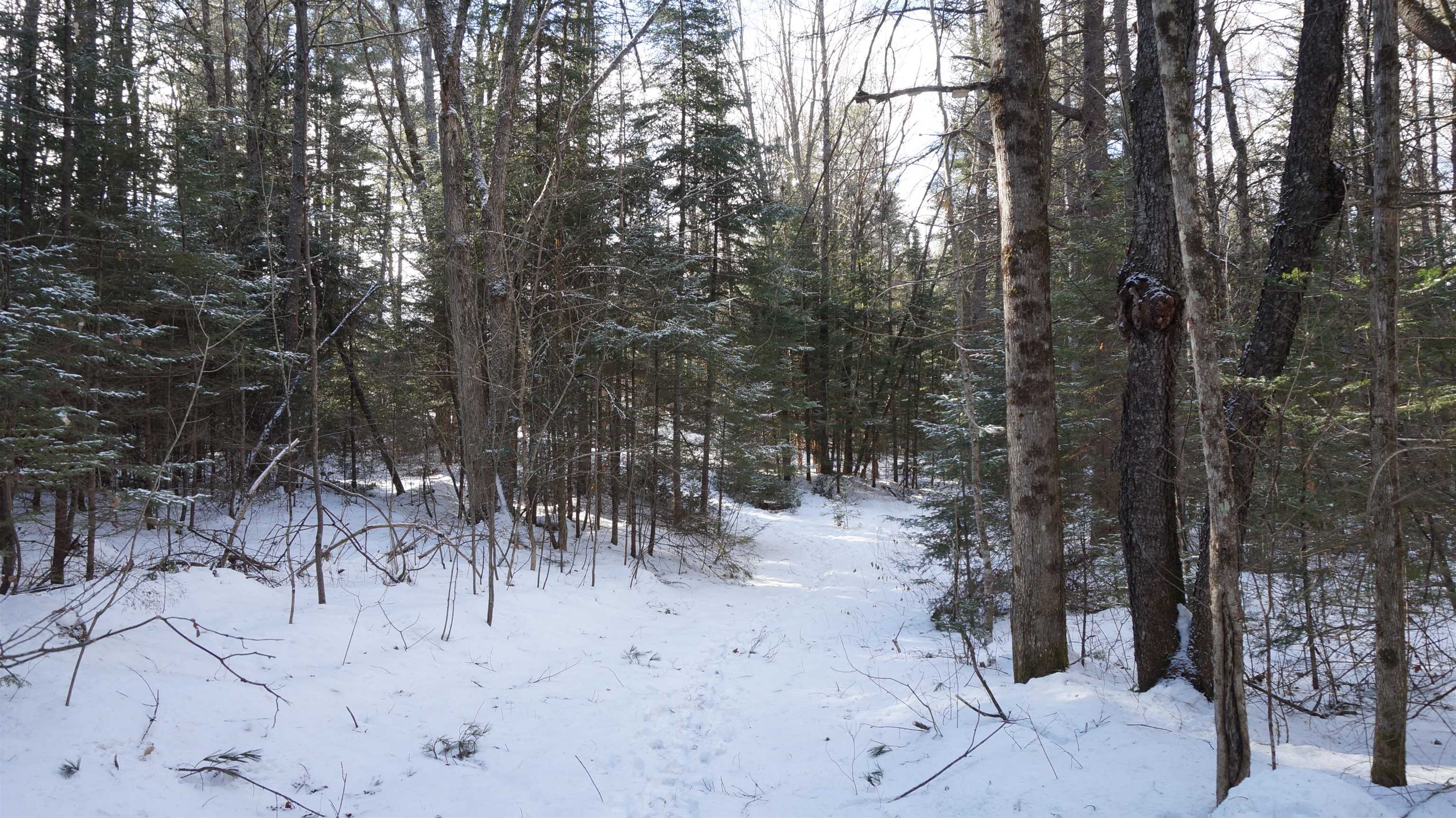 0 Nichols Road Dalton, NH 03598 - Photo 13 of 13
