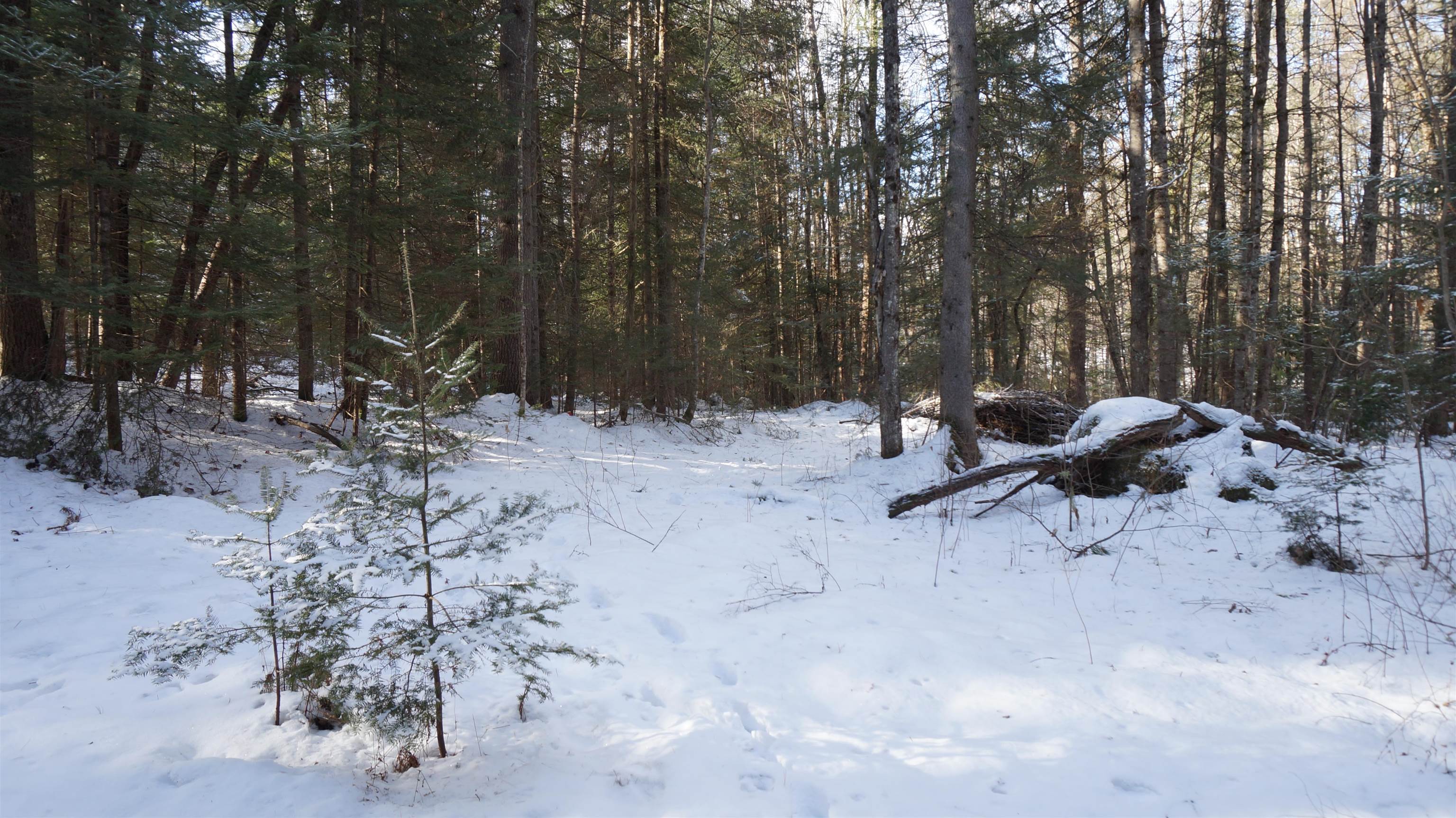 0 Nichols Road Dalton, NH 03598 - Photo 3 of 13