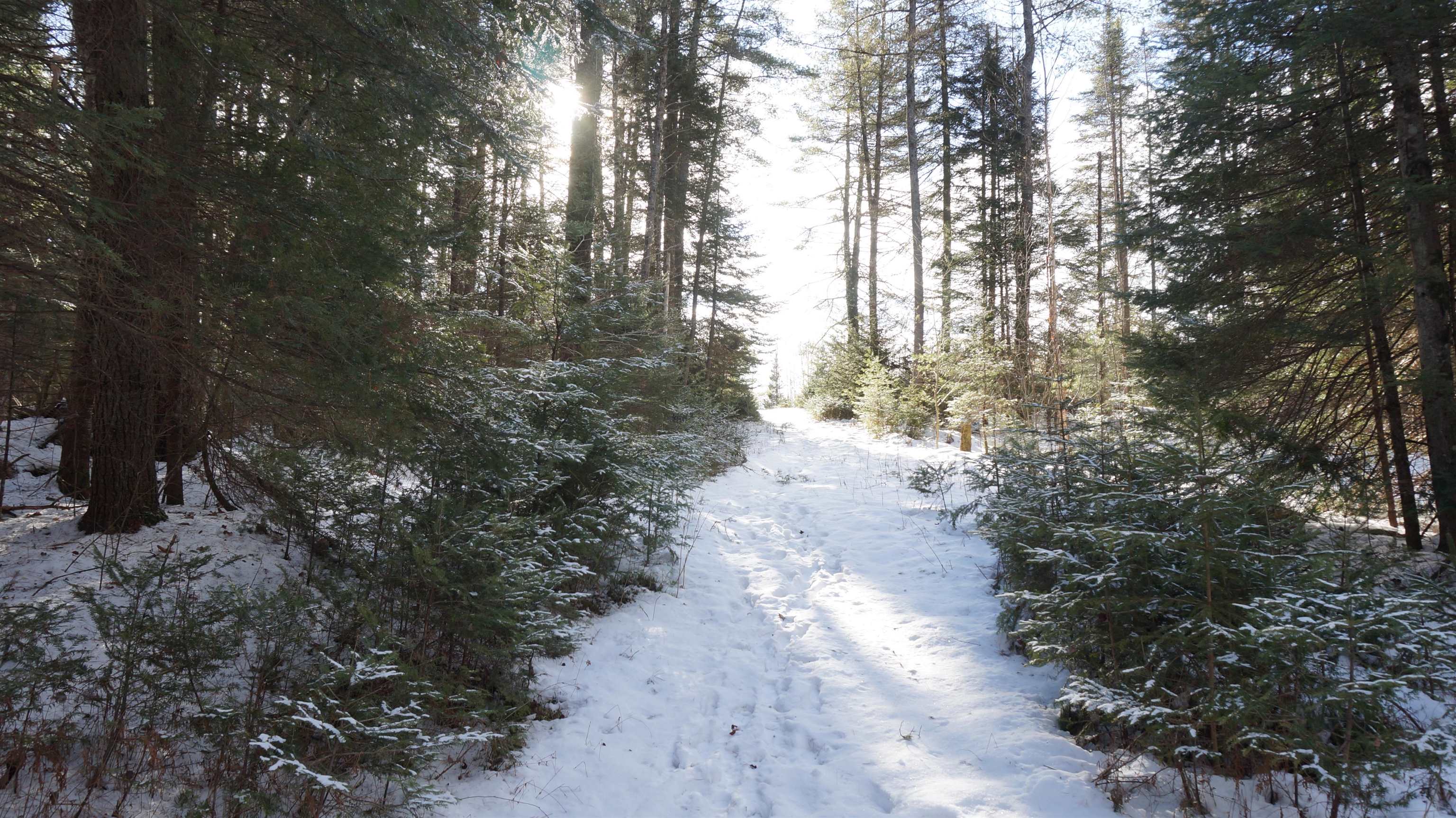0 Nichols Road Dalton, NH 03598 - Photo 6 of 13