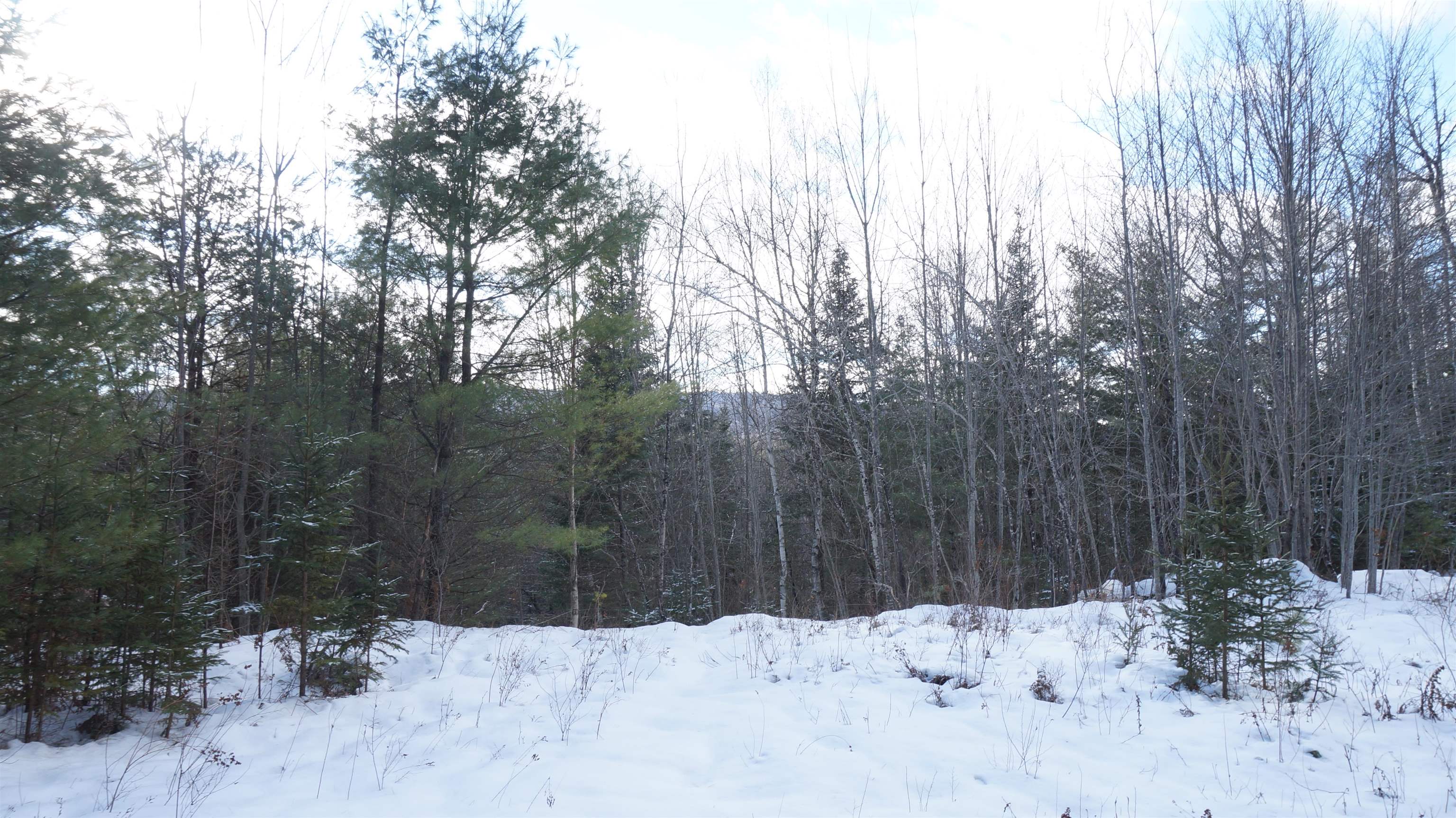 0 Nichols Road Dalton, NH 03598 - Photo 7 of 13