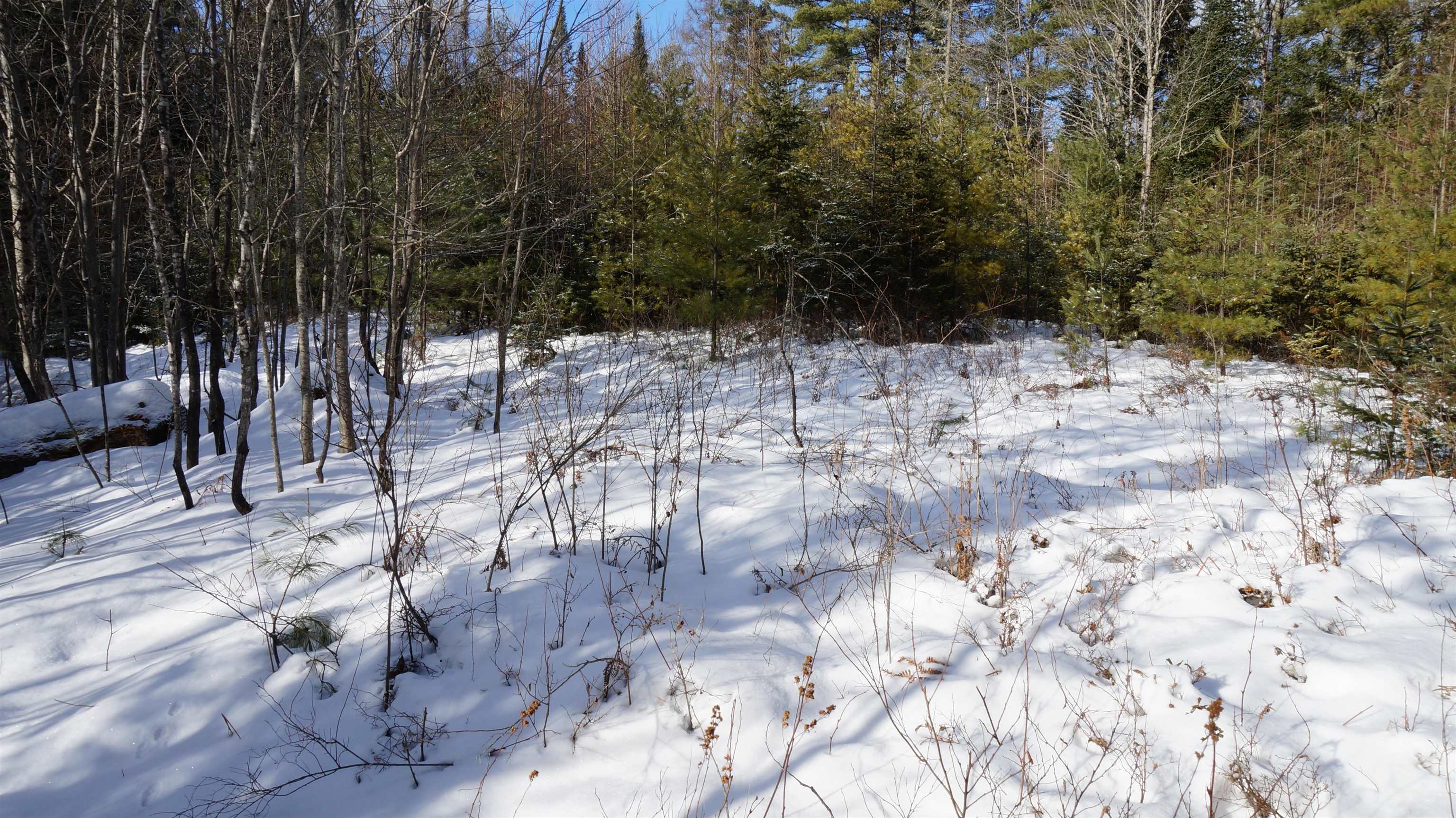 0 Nichols Road Dalton, NH 03598 - Photo 8 of 13