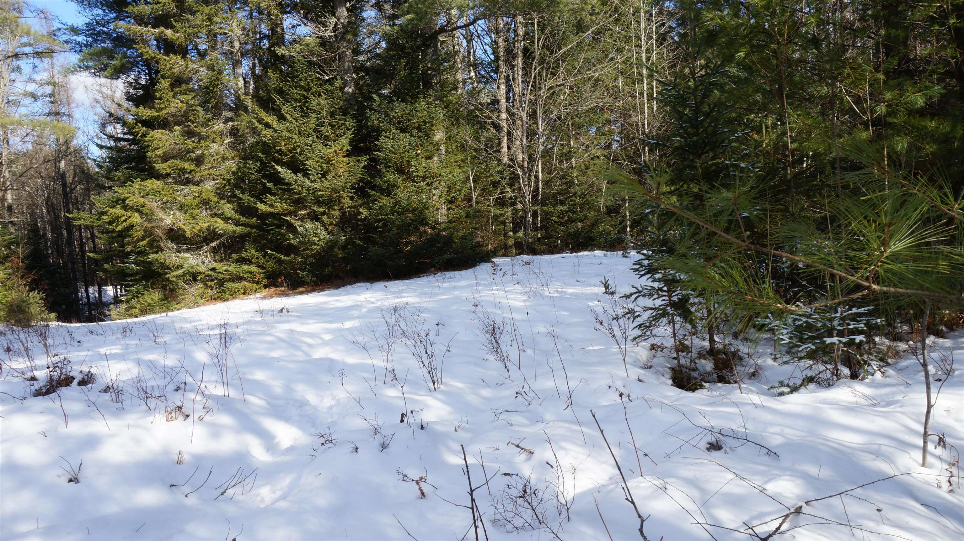 0 Nichols Road Dalton, NH 03598 - Photo 10 of 13