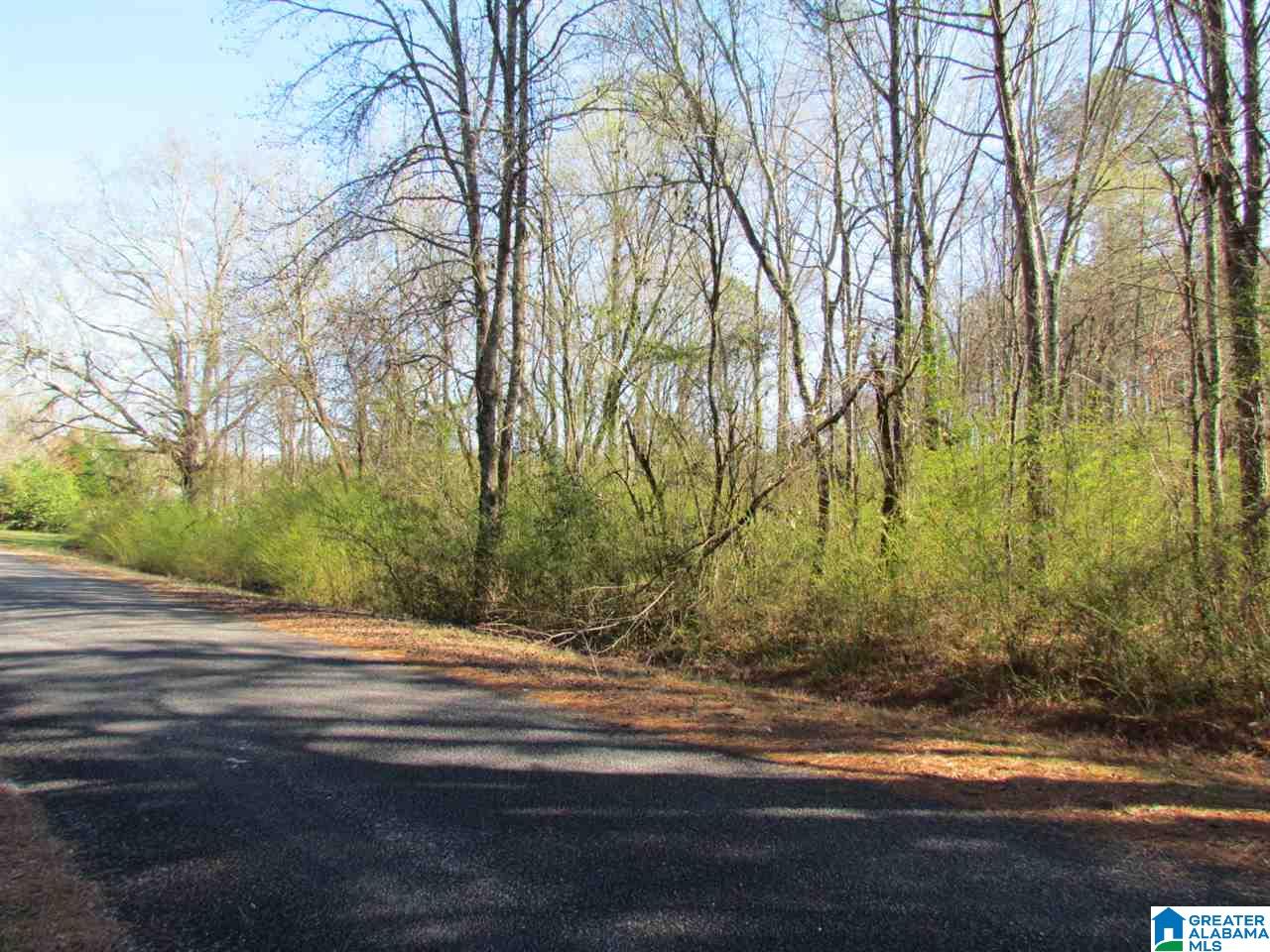 0 Petty Road Odenville, AL 35120 - Photo 4 of 5