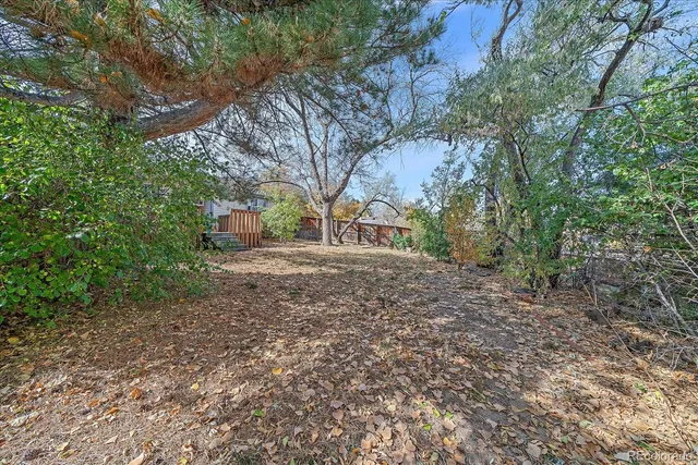 a view of a yard with plants and trees