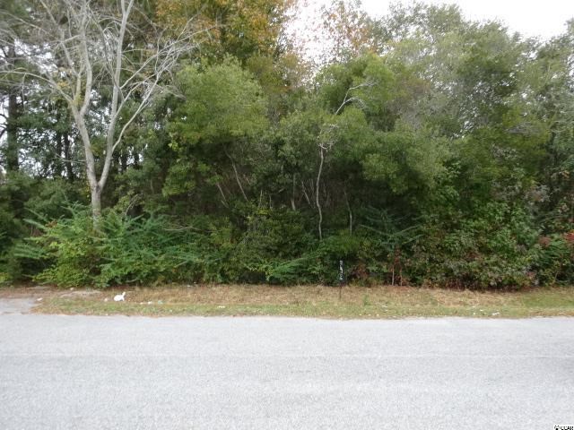 Lot D-3 Fannie B Road Conway, SC 29526 - Photo 1 of 6 Gallery Image 1