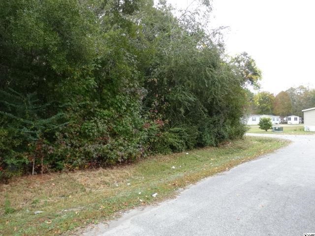 Lot D-3 Fannie B Road Conway, SC 29526 - Photo 2 of 6 Gallery Image 2