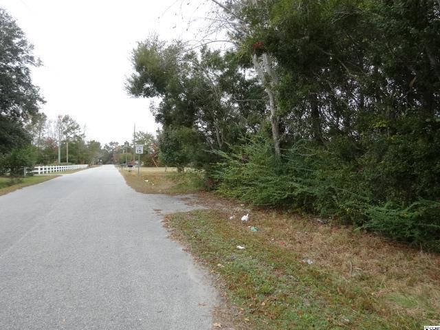 Lot D-3 Fannie B Road Conway, SC 29526 - Photo 3 of 6 Gallery Image 3