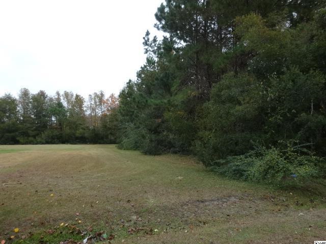 Lot D-3 Fannie B Road Conway, SC 29526 - Photo 6 of 6 Gallery Image 6