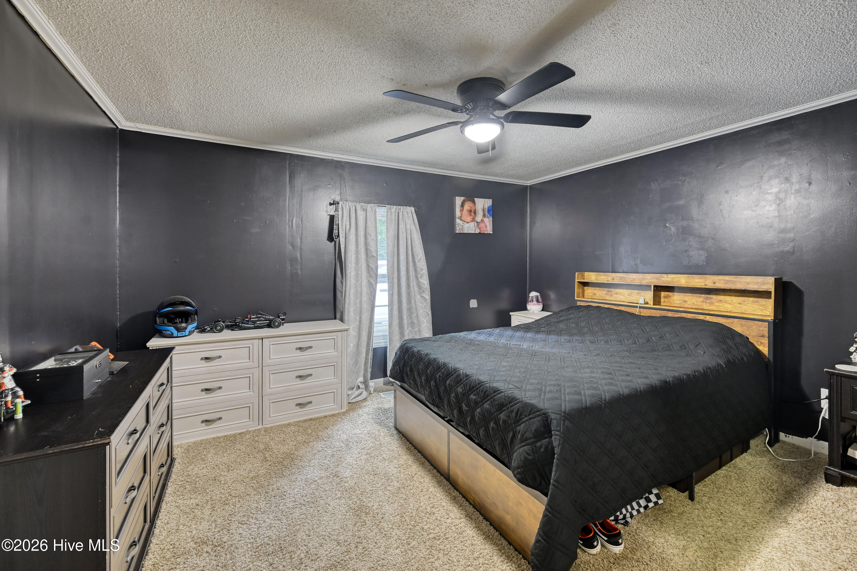 298 Comfort Road Richlands, NC 28574 - Photo 13 of 44 Master BR