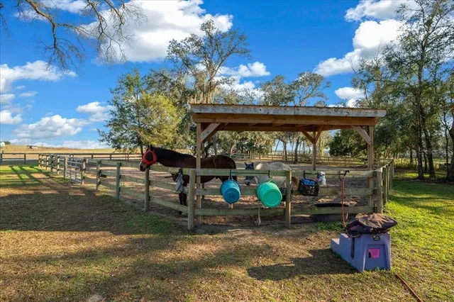 a view of a chairs and table in patio