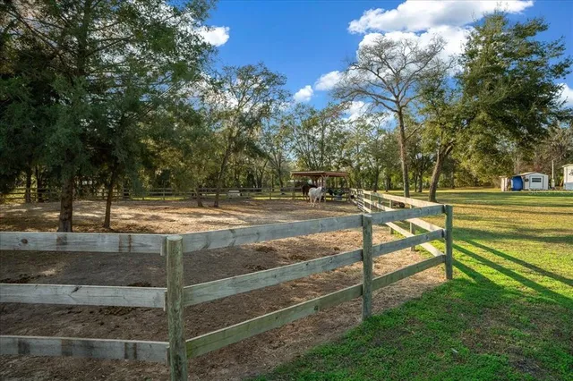 a view of a park with large trees