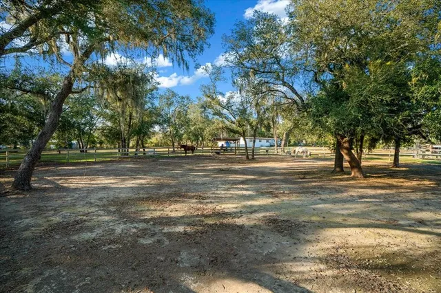 a view of road with trees