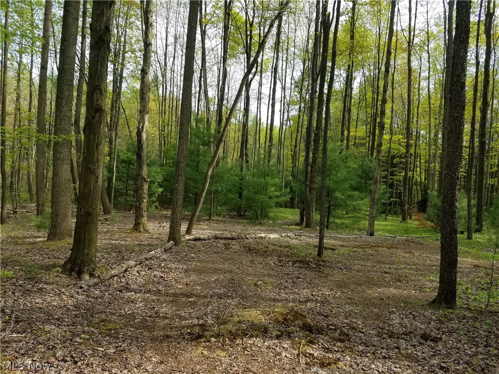 9975 Plank Road Montville, OH 44064 - Photo 10 of 31 Gallery Image 10