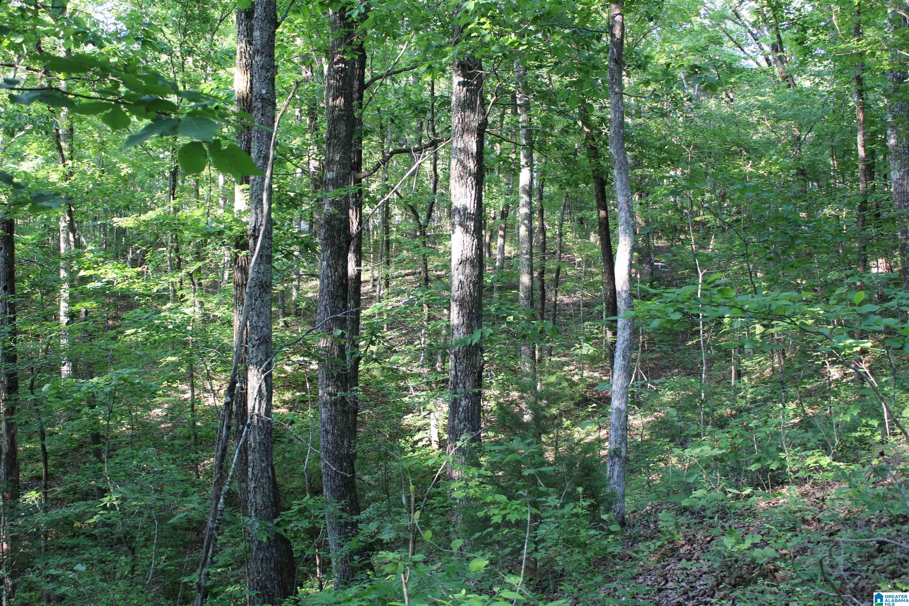 1 Goodner Mountain Road, Unit 1 Pinson, AL 35126 - Photo 10 of 19