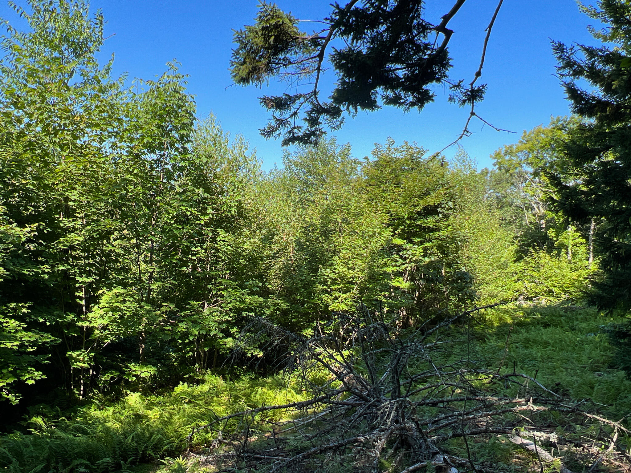 0 Eagle Ridge Road Lakeville, ME 04487 - Photo 2 of 16 2