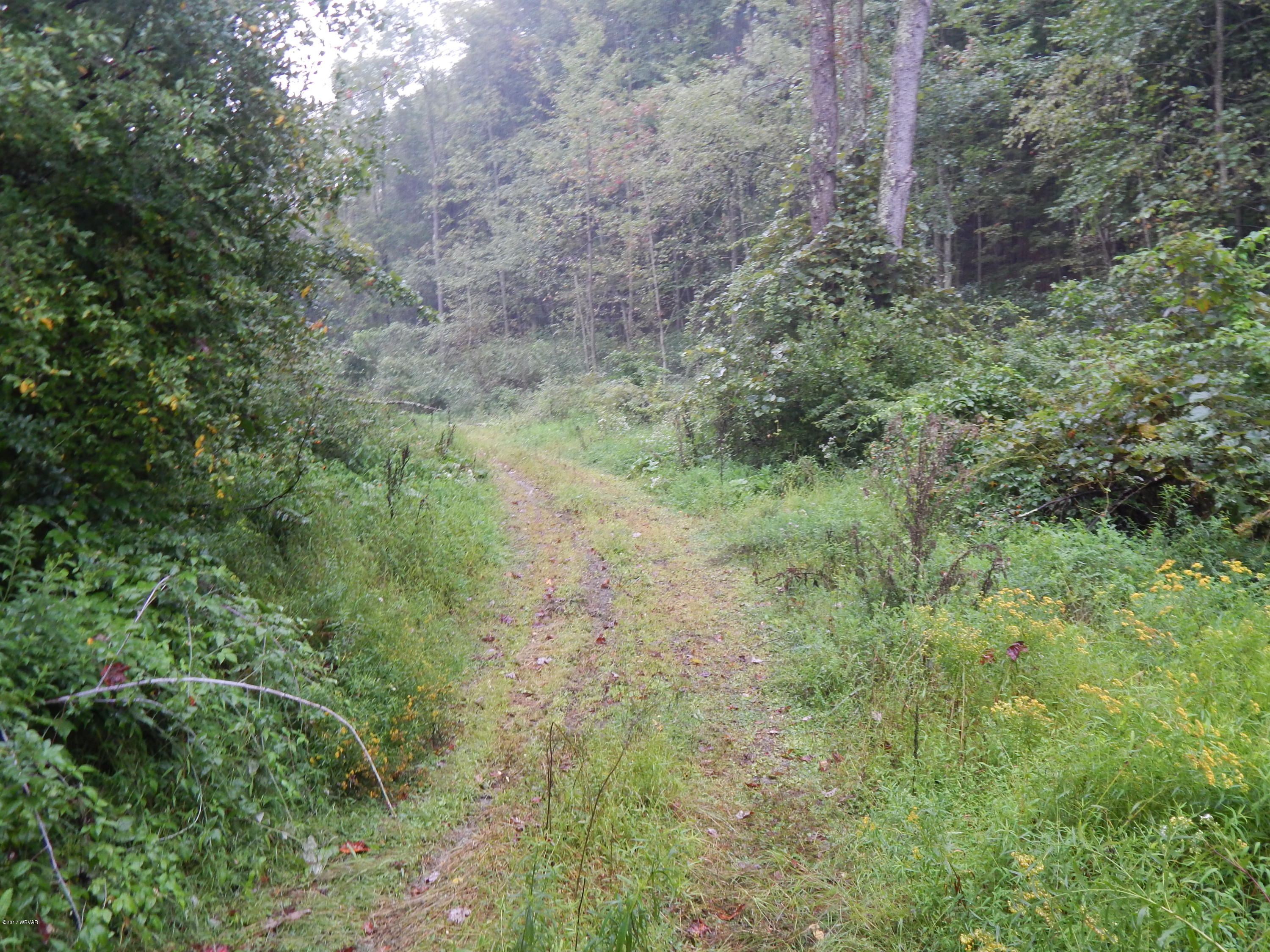 1843 Exchange Road Muncy, PA 17756 - Photo 17 of 25 DSCN2169
